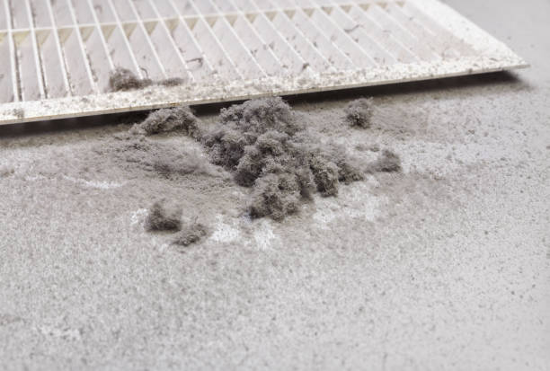 Best Ventilation Cleaning Services  in Wentzville, MO